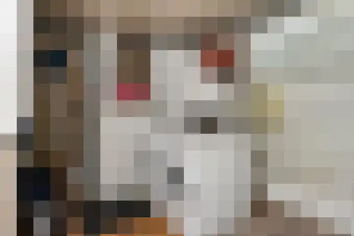 Gaete 16 Lage Zwaluwe thumbnail 30