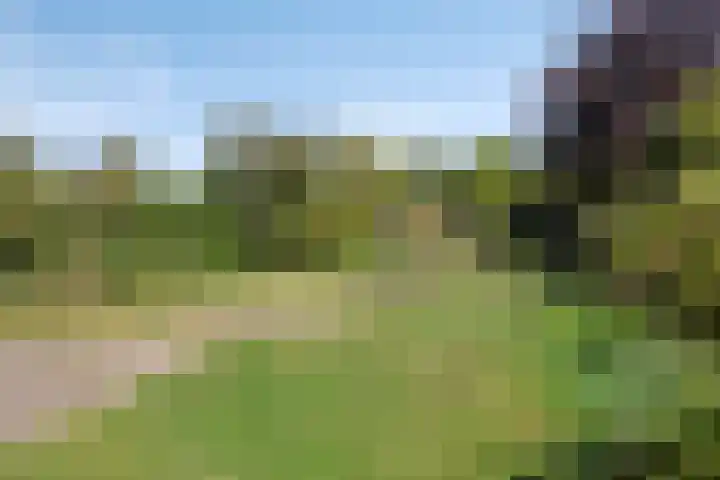 Gaete 16 Lage Zwaluwe thumbnail 32