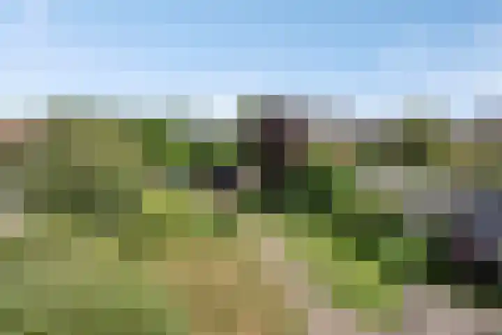 Gaete 16 Lage Zwaluwe thumbnail 36