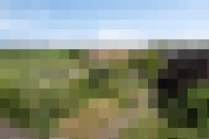Gaete 16 Lage Zwaluwe thumbnail 37