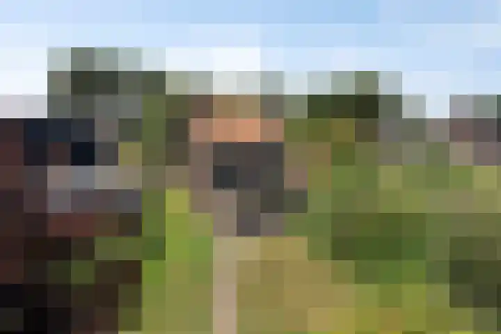 Gaete 16 Lage Zwaluwe thumbnail 38