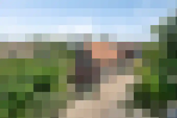 Gaete 16 Lage Zwaluwe thumbnail 40