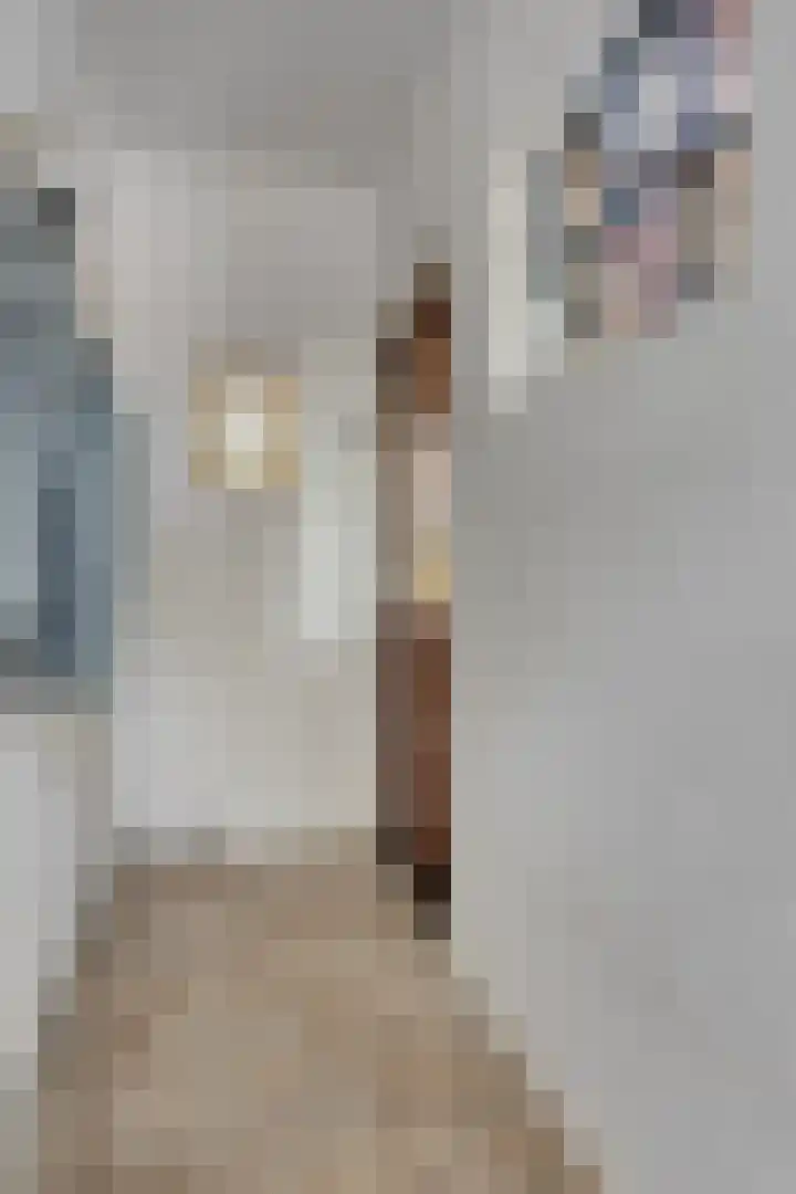 Gaete 16 Lage Zwaluwe thumbnail 6