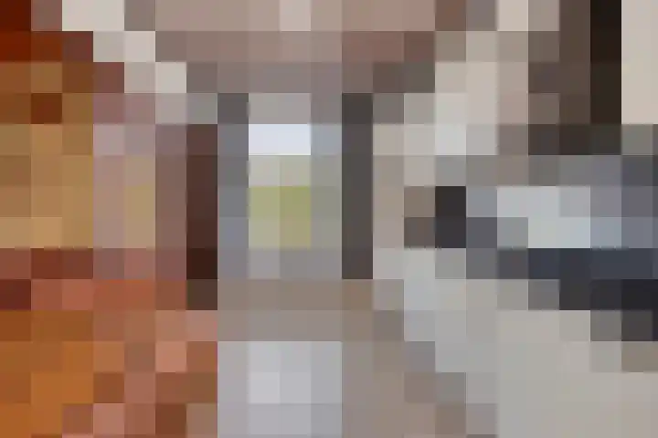 Gaete 16 Lage Zwaluwe thumbnail 7