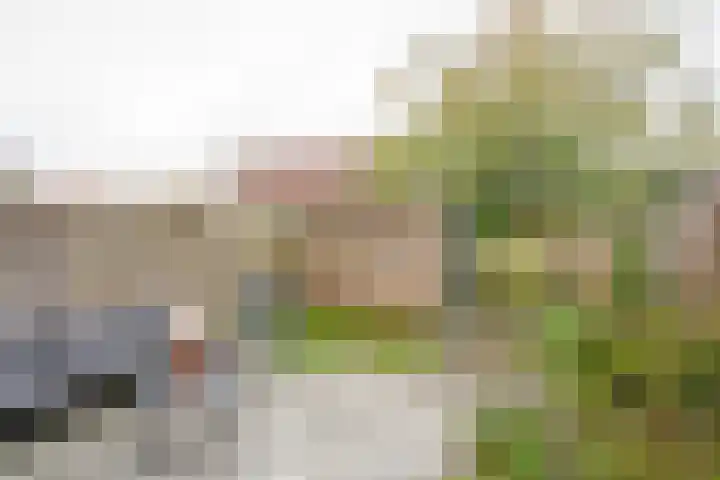 Gaffel 11 Nijkerk thumbnail 10