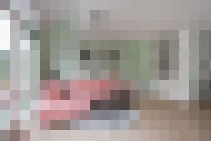 Gaffel 11 Nijkerk thumbnail 13