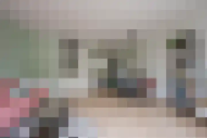 Gaffel 11 Nijkerk thumbnail 14