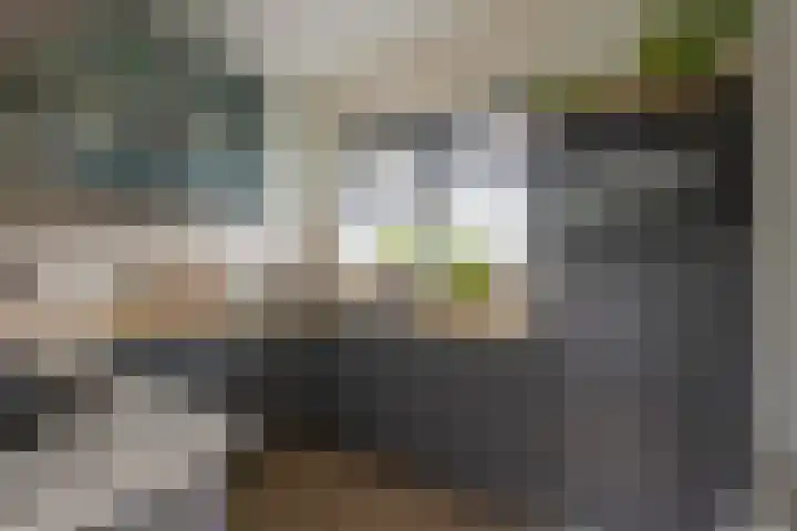 Gaffel 11 Nijkerk thumbnail 16