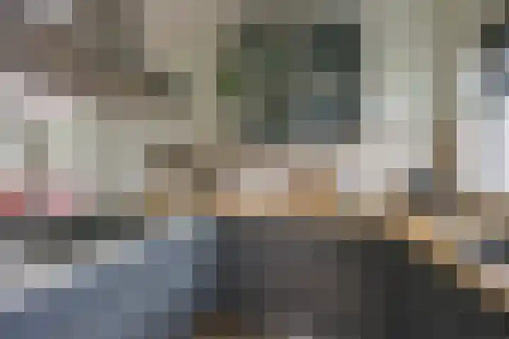 Gaffel 11 Nijkerk thumbnail 17