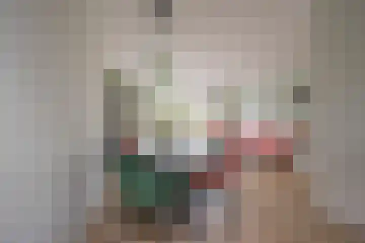 Gaffel 11 Nijkerk thumbnail 19