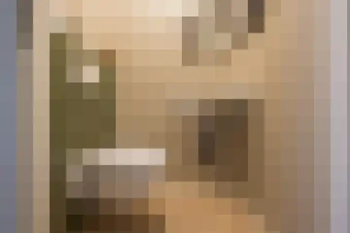 Gaffel 11 Nijkerk thumbnail 20