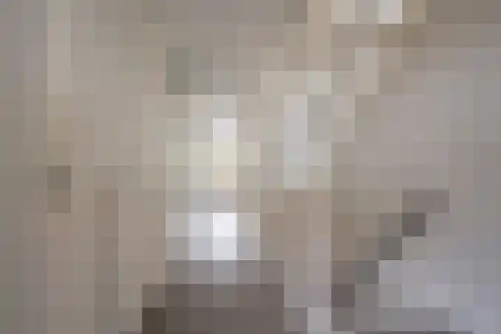 Gaffel 11 Nijkerk thumbnail 21