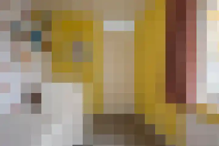 Gaffel 11 Nijkerk thumbnail 26