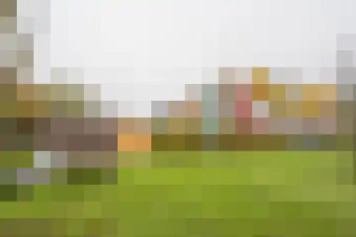 Gaffel 11 Nijkerk thumbnail 33