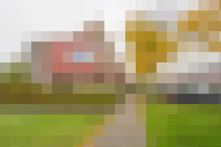 Gaffel 11 Nijkerk thumbnail 34