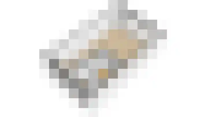 Gaffel 11 Nijkerk thumbnail 37