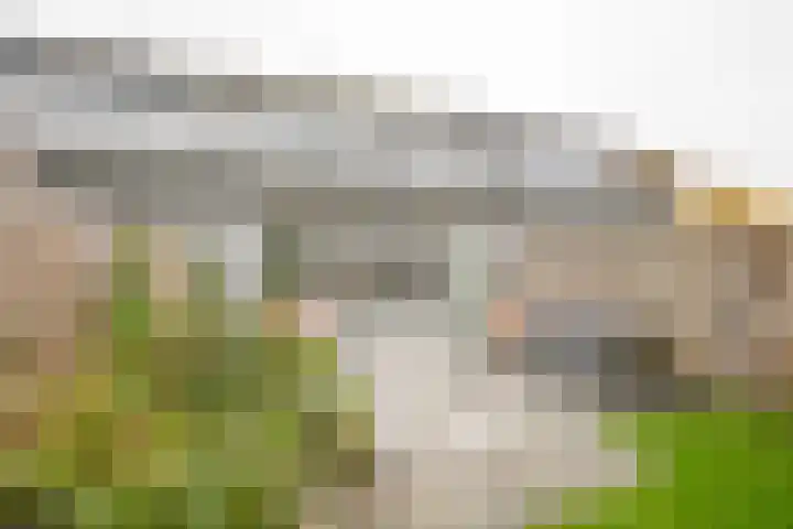 Gaffel 11 Nijkerk thumbnail 4
