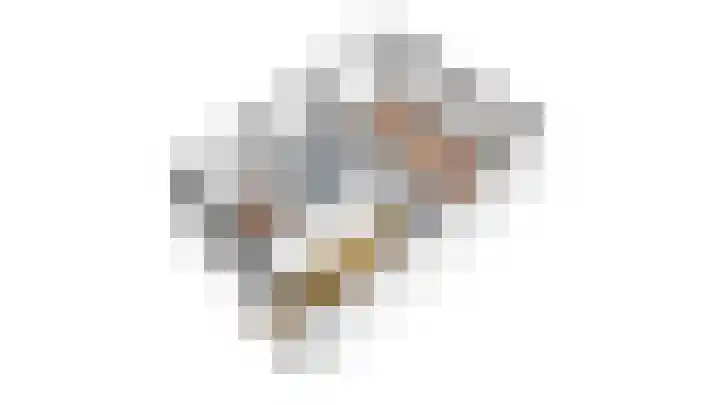 Gaffel 11 Nijkerk thumbnail 40