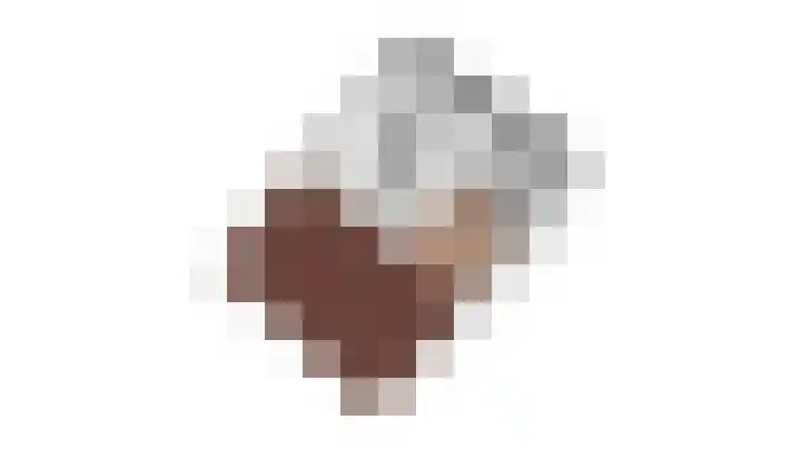Gaffel 11 Nijkerk thumbnail 42
