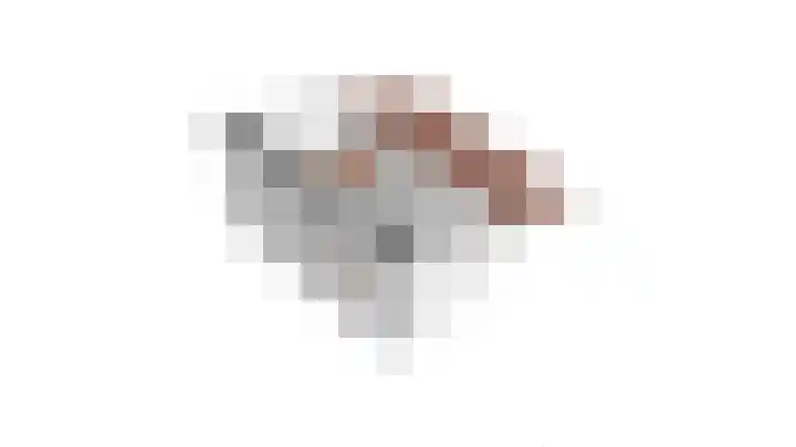 Gaffel 11 Nijkerk thumbnail 43