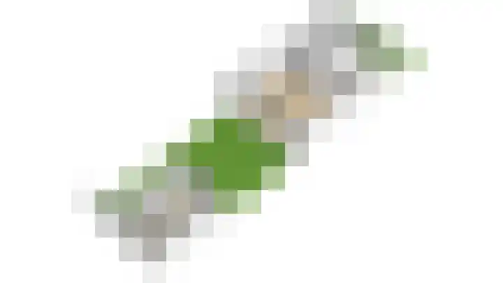 Gaffel 11 Nijkerk thumbnail 46