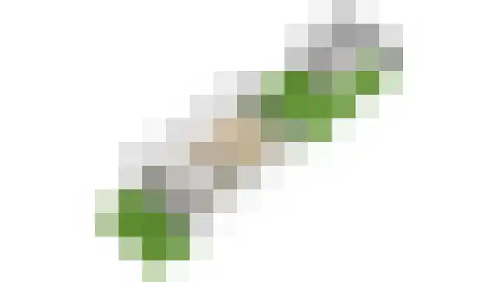 Gaffel 11 Nijkerk thumbnail 47