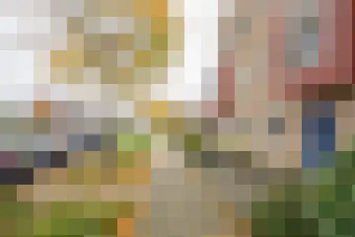 Gaffel 11 Nijkerk thumbnail 6