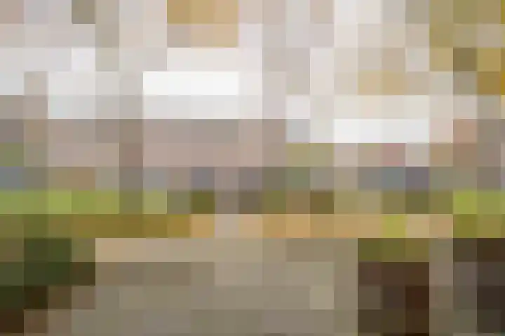 Gaffel 11 Nijkerk thumbnail 7