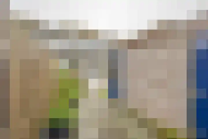 Gaffel 11 Nijkerk thumbnail 8
