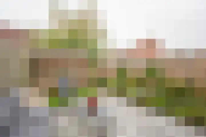 Gaffel 11 Nijkerk thumbnail 9