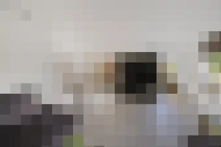 Gaffel 14 Joure thumbnail 13