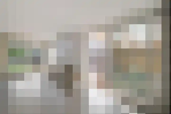 Gaffel 14 Joure thumbnail 14
