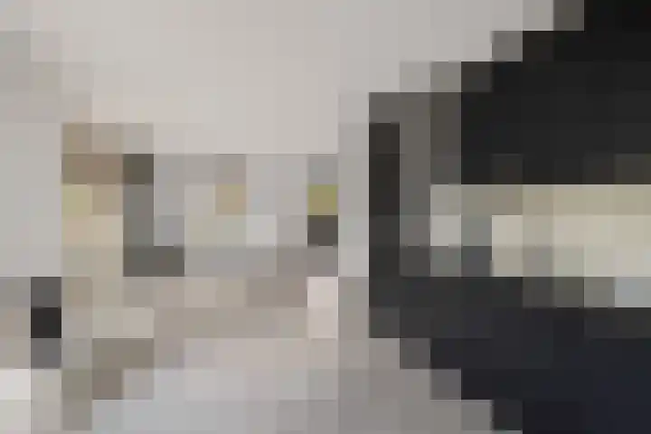 Gaffel 14 Joure thumbnail 16