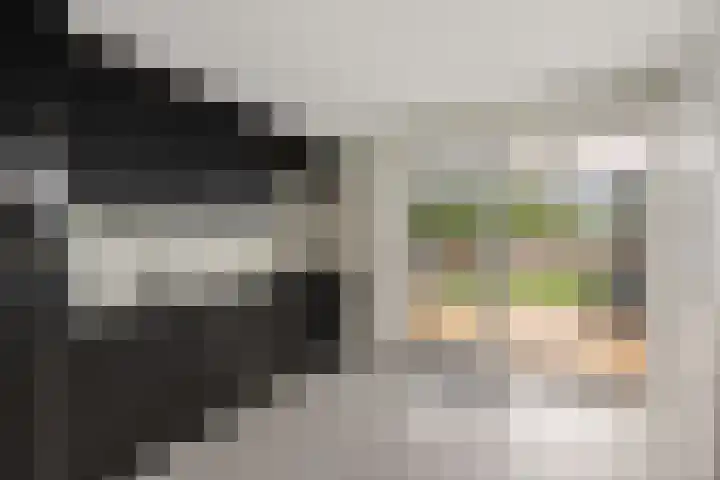 Gaffel 14 Joure thumbnail 18