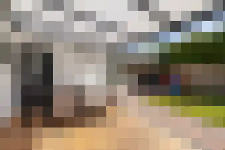 Gaffel 14 Joure thumbnail 20