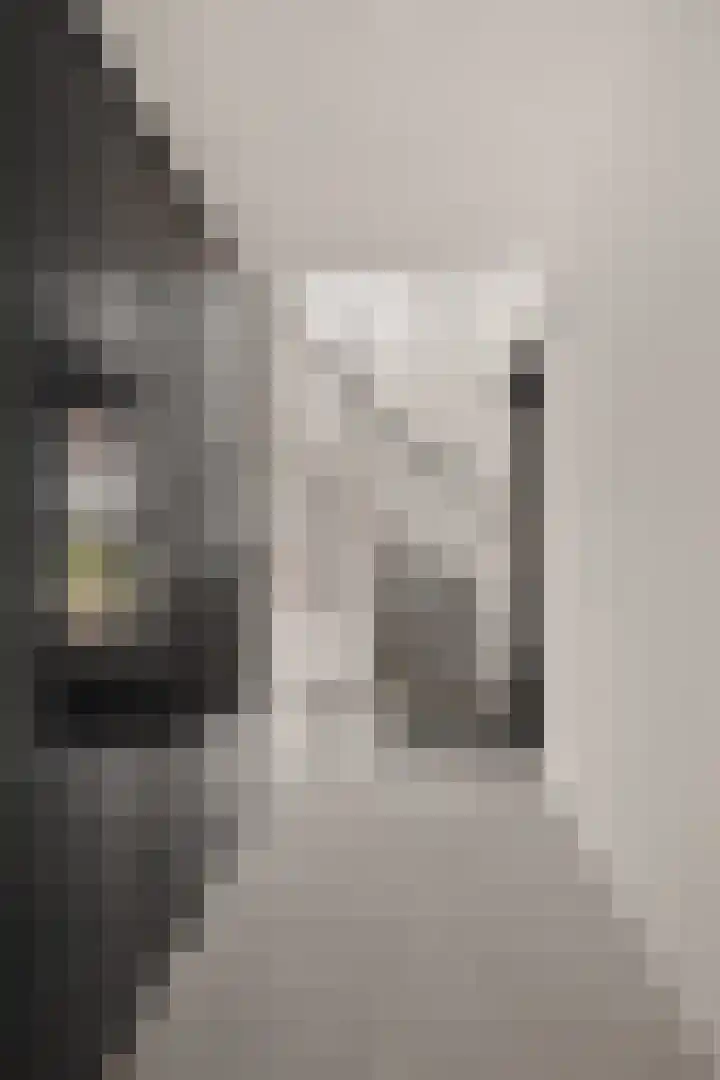 Gaffel 14 Joure thumbnail 21