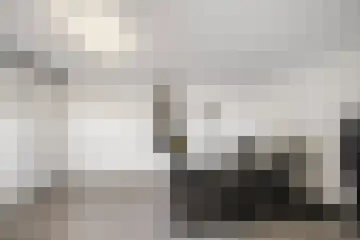 Gaffel 14 Joure thumbnail 27