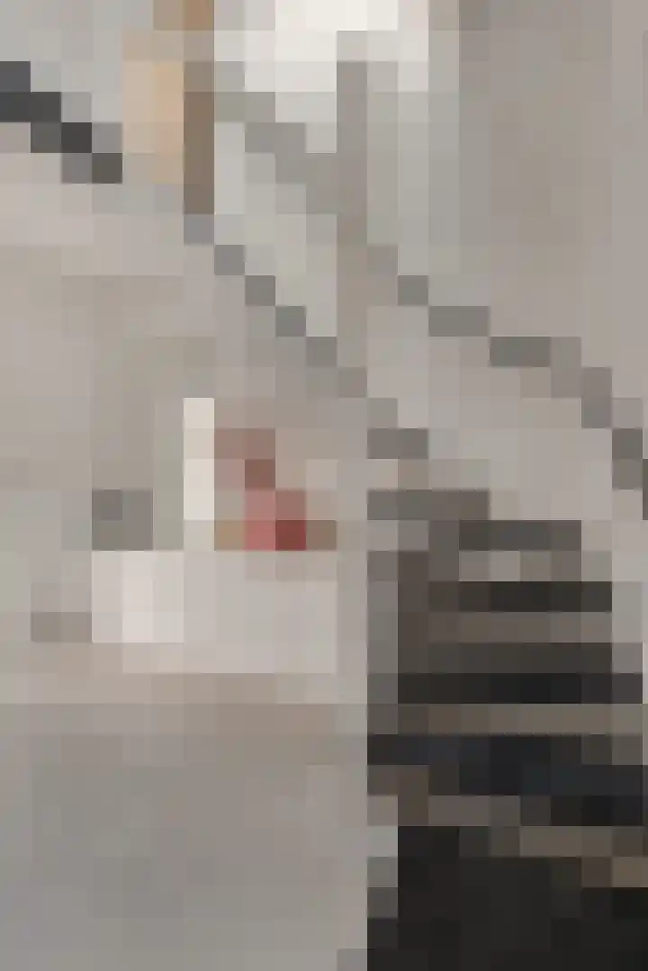 Gaffel 14 Joure thumbnail 28