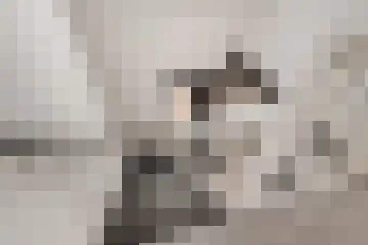 Gaffel 14 Joure thumbnail 29
