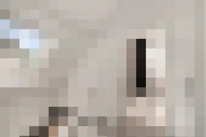 Gaffel 14 Joure thumbnail 30