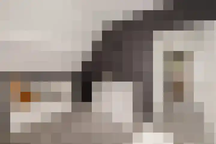 Gaffel 14 Joure thumbnail 31