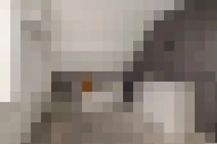 Gaffel 14 Joure thumbnail 32