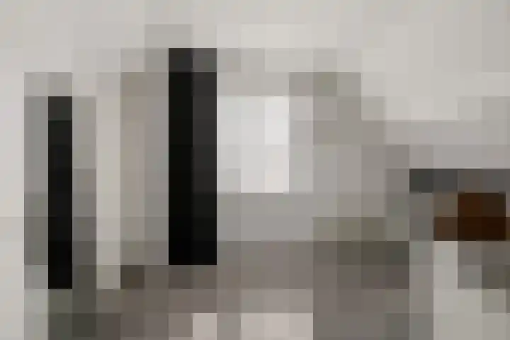 Gaffel 14 Joure thumbnail 33
