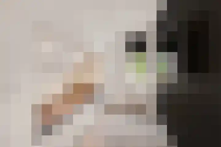 Gaffel 14 Joure thumbnail 37