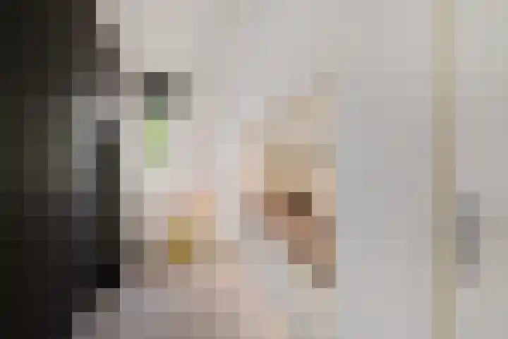 Gaffel 14 Joure thumbnail 38