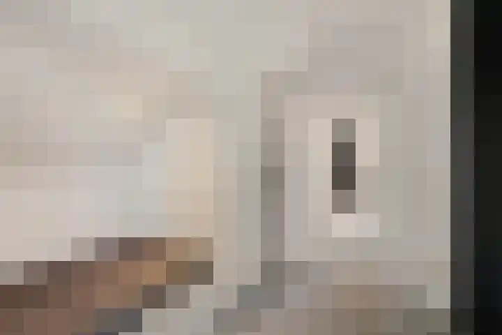 Gaffel 14 Joure thumbnail 39