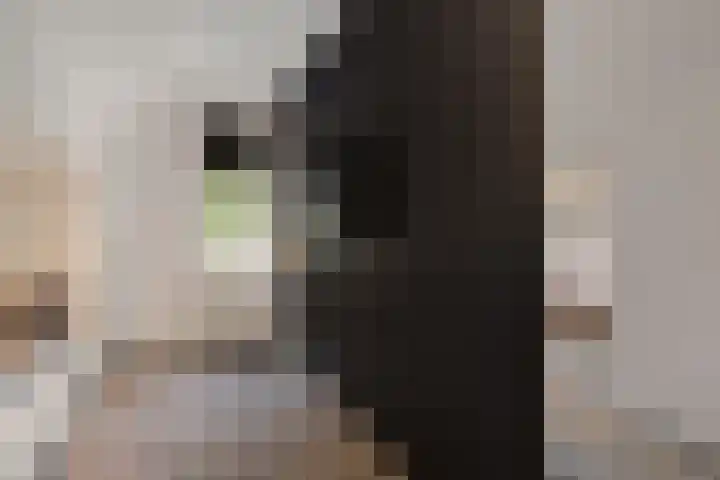 Gaffel 14 Joure thumbnail 40