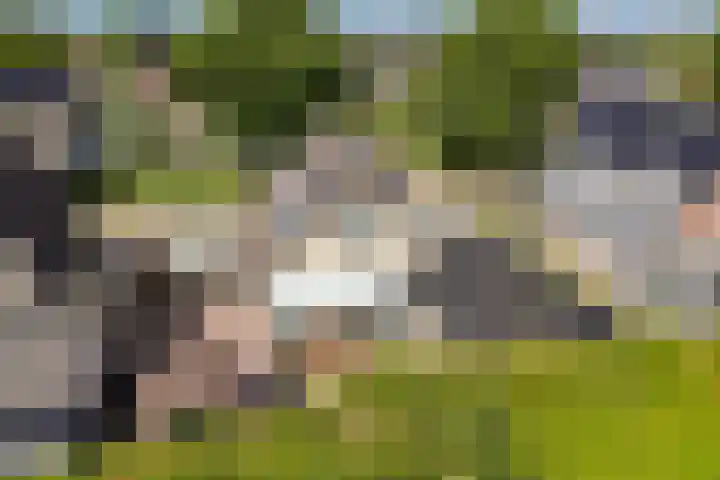 Gaffel 14 Joure thumbnail 41