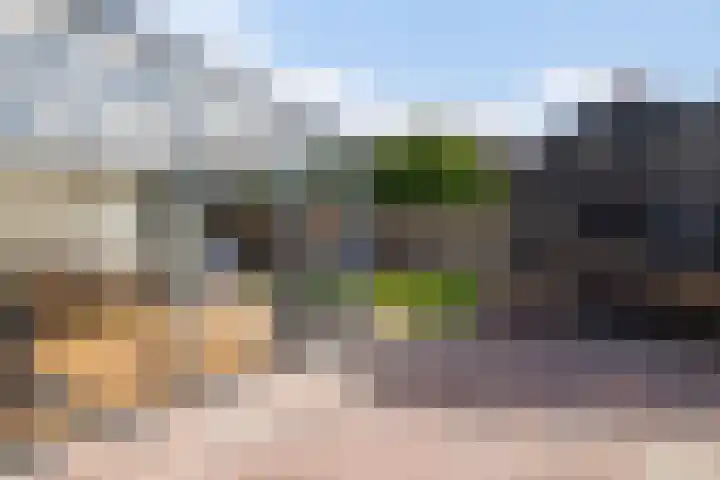 Gaffel 14 Joure thumbnail 44