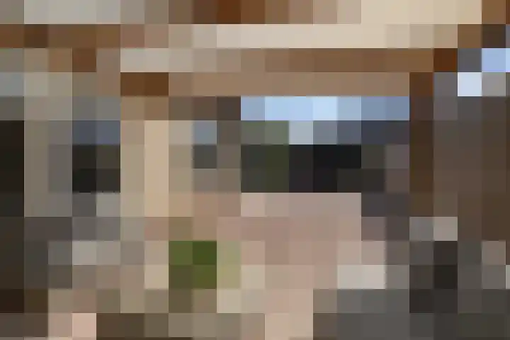 Gaffel 14 Joure thumbnail 45